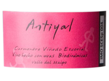 Antiyal - Valle del Maipo - Vinedo Escorial Carménère - Rouge - 2012